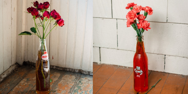 Two glass bottles serve as vases, one with dark red roses and the other with bright red carnations, set against a simple background.